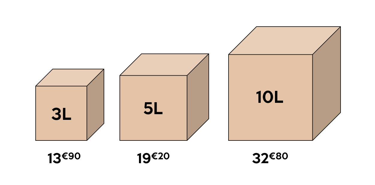 Image4